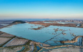 “生态海绵”守护闽南水乡