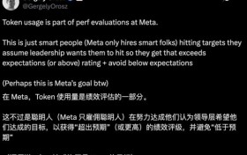 大厂叫停“烧Token内卷”，AI竞争进入数据效率时代